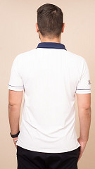 24271348 - Camisa Gola Polo Distribuidor